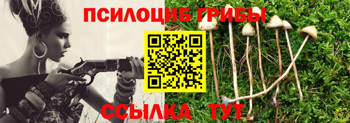 Галлюциногенные грибы ЛСД Сибай
