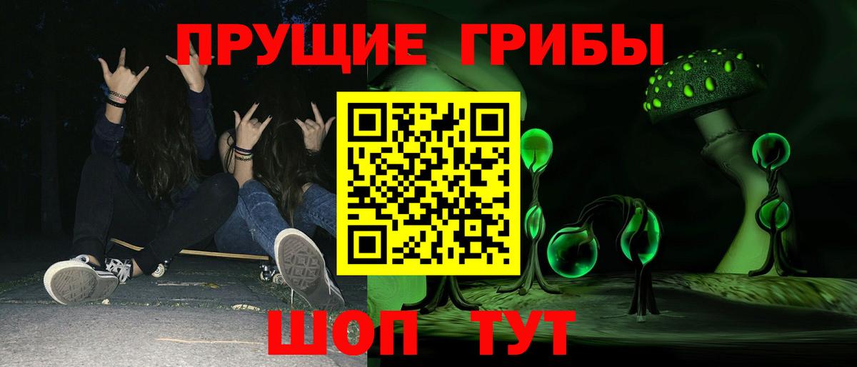 Галлюциногенные грибы Psilocybe  Вход с VPN  Сибай 